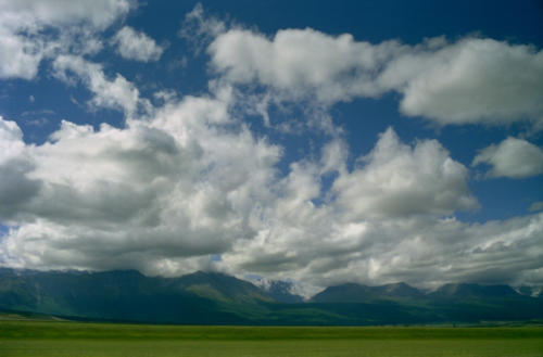 Курай