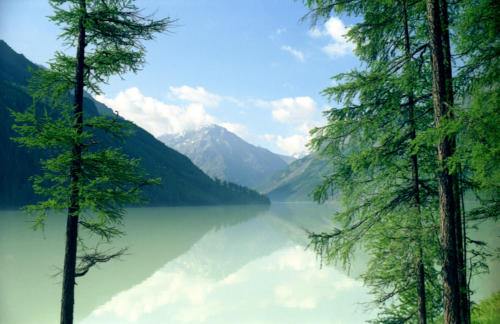 Кучерла